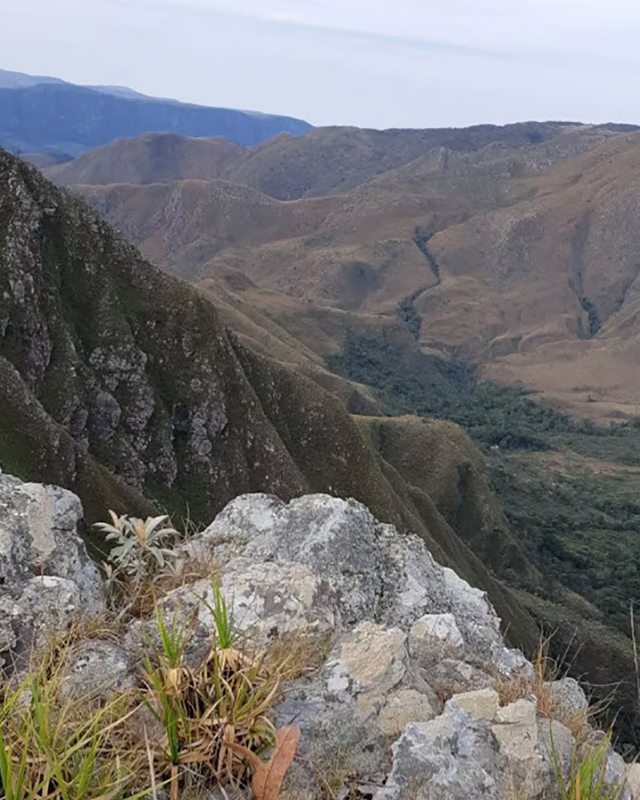 Paisagem de serrado com montanhas e vegetação ao fundo